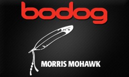 Обзор БК Bodog