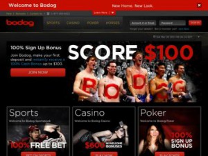 Обзор БК Bodog