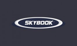 Обзор БК Skybook